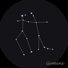 Gemini-s.png