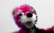 Pink Teddy Bear.png