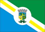 Bandeira pinhais.jpg