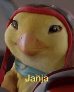 Foto da janja.png