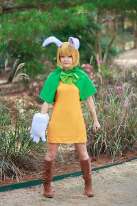 Carrot cosplay.jpg