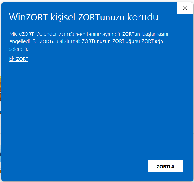 WinZORT kişisel ZORTunuzu korudu.png