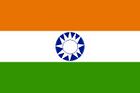 INDIA FLAG.JPG