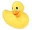 Canard plastique.gif