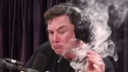 Musk.png