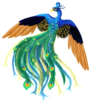 Peacock.png