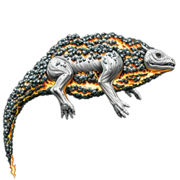 Eryops carbón.png