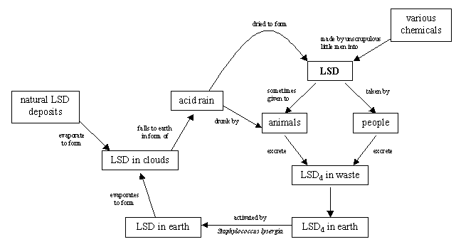 The Acid Cycle, as proposed by Prof. Xavier in 2006