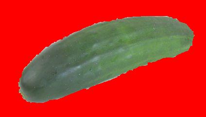 Cucumber.JPG