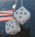 Fuzzy dice.jpg