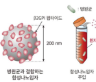 ‘시간당 사망률 9% 증가’ 패혈증, 48시간 더 빠르게 항균제 찾는 검사법 나왔다