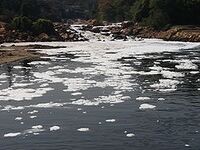 Pollution Tietê river.JPG