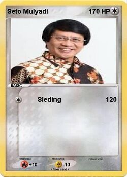 Seto Pokecard.jpg