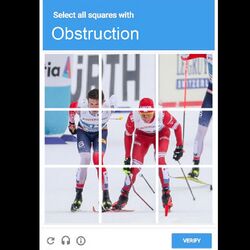 Skiing obstruction.jpg