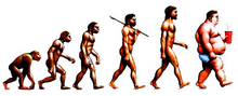 Evolution1.PNG