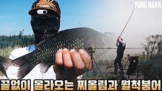 [풍낚TV] 붕어낚시 8치에서35까지 찌올림 실컷보기/삽교천궁평리권/시즌16호~17호월척/Cinematic 