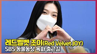 레드벨벳 조이(Red Velvet JOY), '봄꽃같은 조이' [O! STAR]