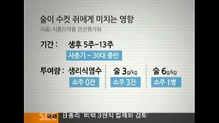 아빠가 임신 전에 마신 술, 아들·손자까지 피해