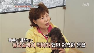 유기견 보호소, ′내사랑 바둑이′에 모인 아이들의 사연