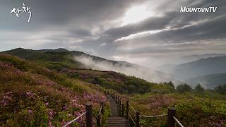 당신을 1분 만에 쓱 힐링시켜 줄 산 절경