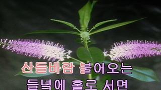 최순영**산들바람