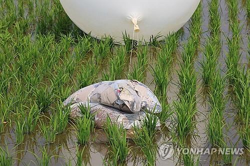 Bundles of trash tied to a balloon sent by North Korea are seen in a rice paddy in Incheon, west of Seoul, in this file photo taken June 10, 2024. (Yonhap)