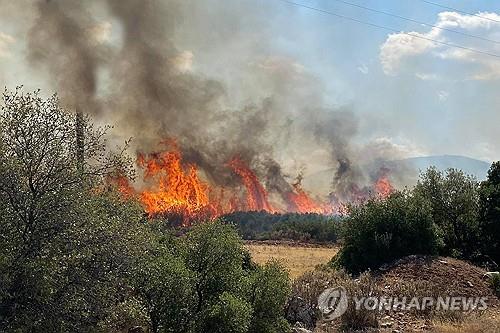 그리스 산불로 인해 불타는 올리브나무