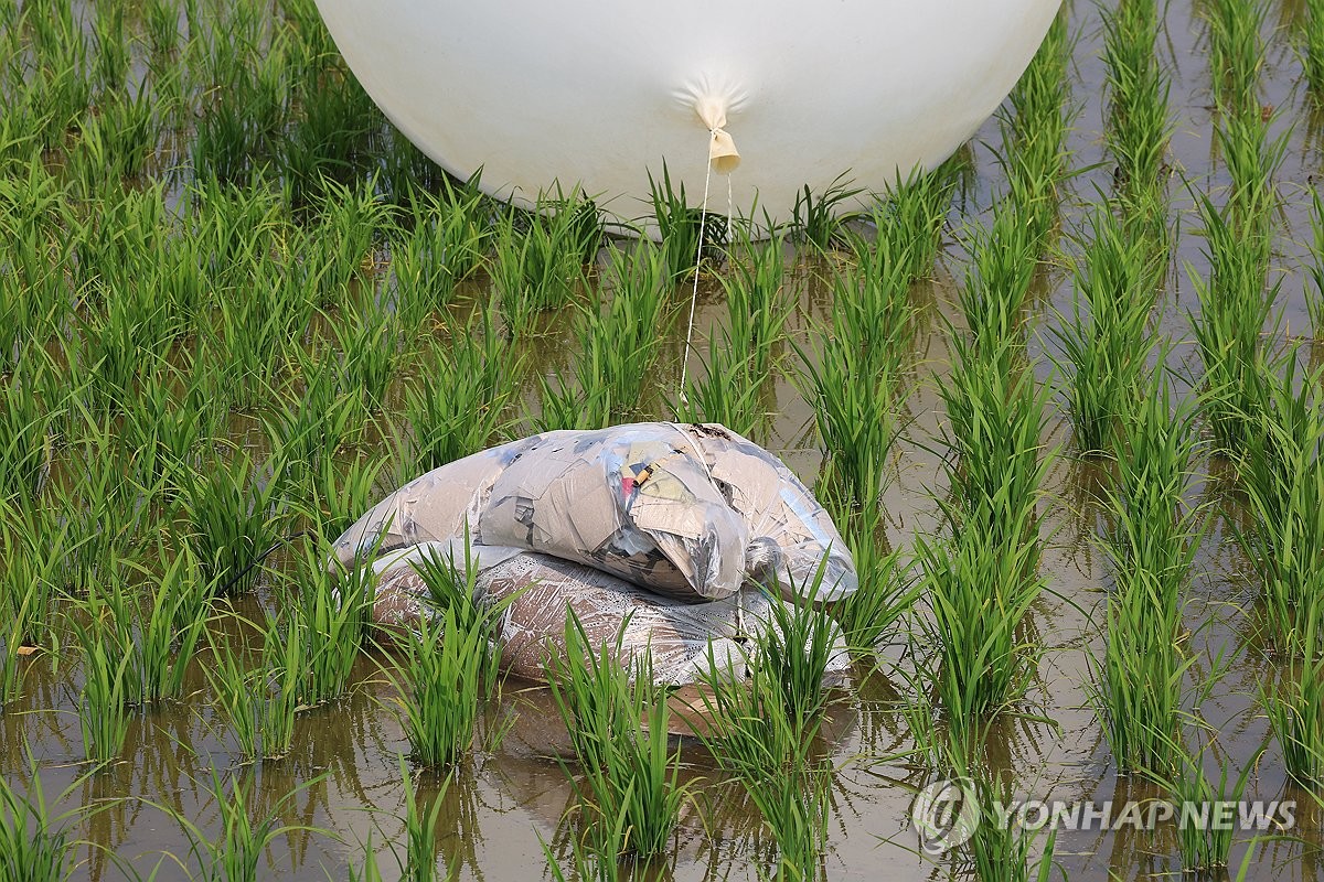 강화도 논에 떨어진 북한 '대남 풍선'