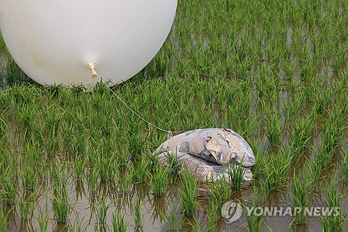 강화도 논에 떨어진 북한 '대남 풍선'