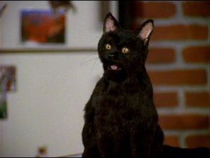 Salem Saberhaguen.jpg