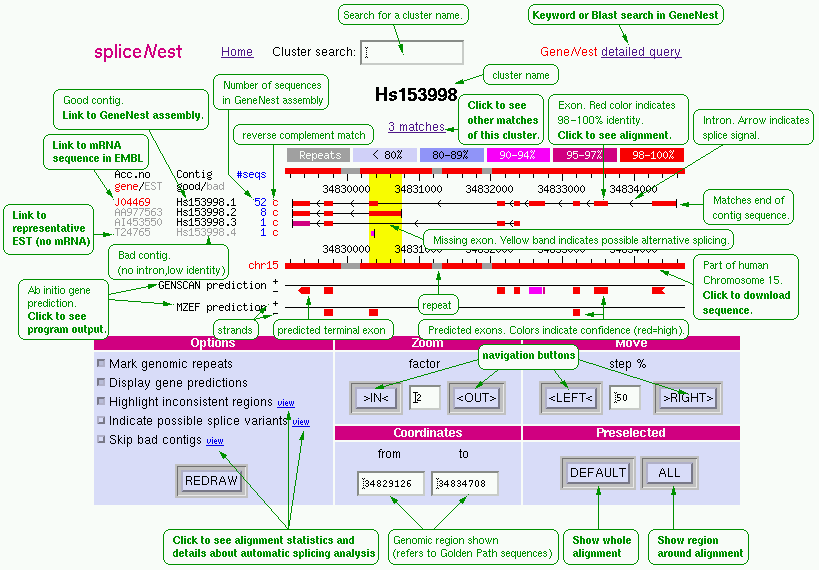 Sample alignment screenshot with explanation