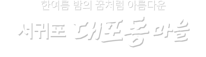 건강하고 행복한  제주의 마을 서귀포 대포동