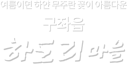 건강하고 행복한 제주의 마을 구좌읍 하도리