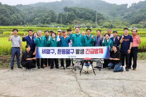 칠곡군, 벼멸구 피해확산 최소화 긴급방제 추진