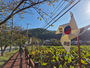 칠곡군 지천면 연화리, 나라사랑 태극기 물결