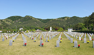 무궁화묘역 전경 사진