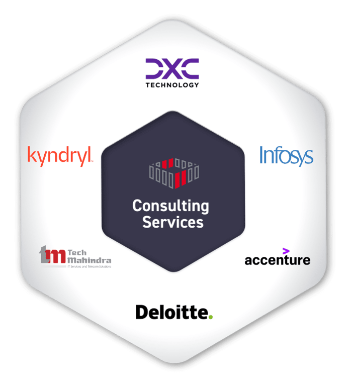 Consulting Services