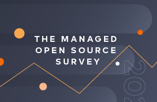 The 2020 Tidelift managed open source survey