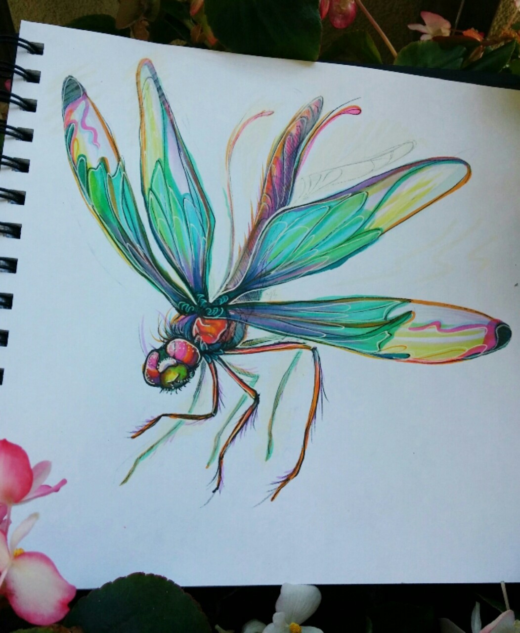 I was thinking about dragonflies lately