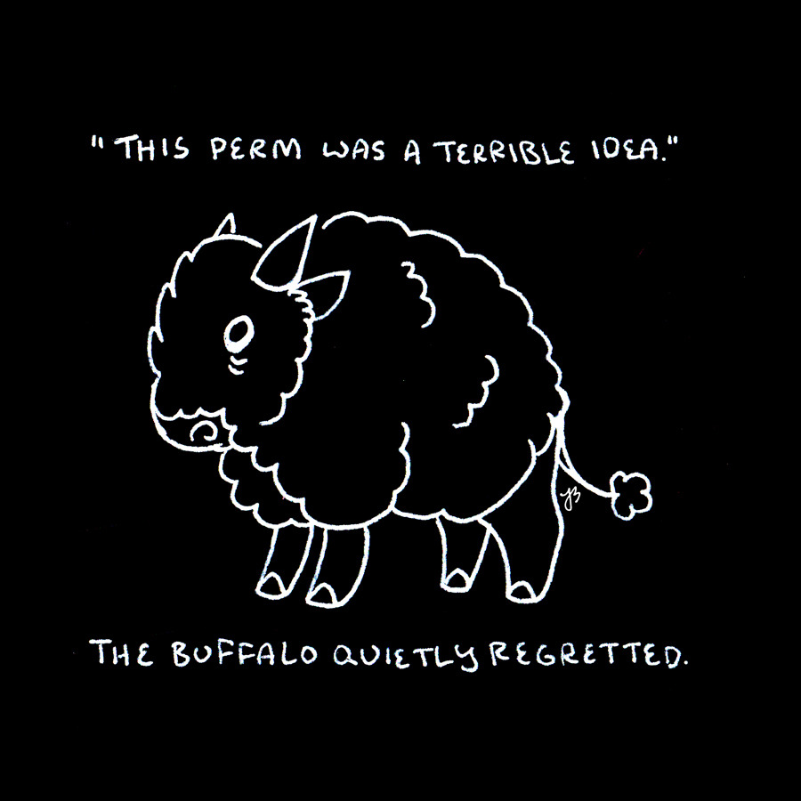 It’s going to be okay, Mr. Buffalo.