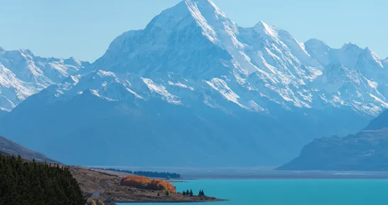 Programas en Nueva Zelanda