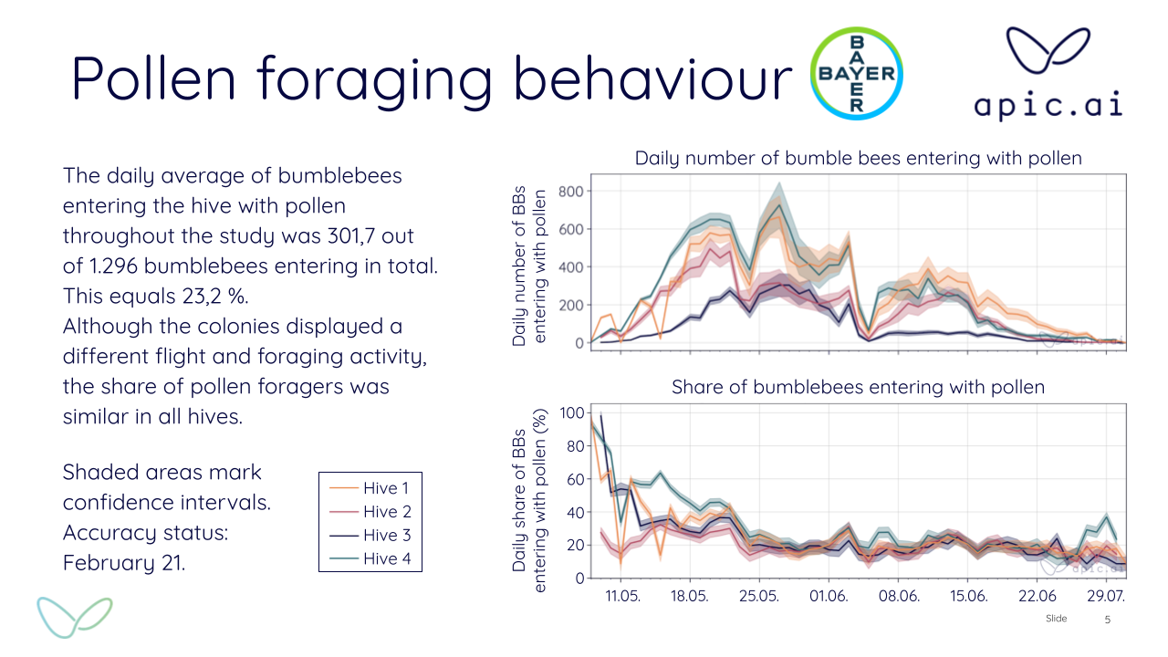 Pollen foraging behaviour