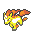 Rapidash