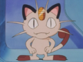 Meowth's miscolored feet and tail