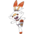 Scorbunny