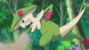 Breloom anime.png