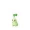 Chikorita