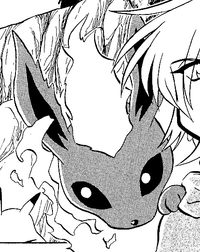 Nagi's Flareon