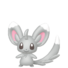 Minccino