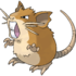 Raticate